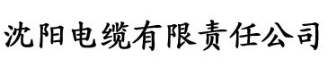 AV导航性福宝电缆厂logo